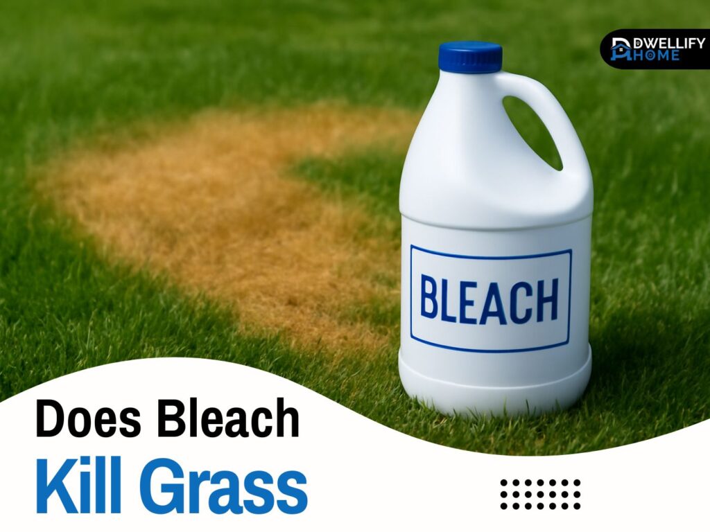 Does Bleach Kill Grass