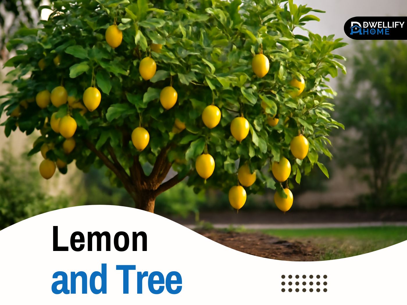 lemon and tree