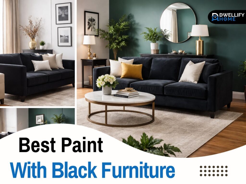 paint with black furniture