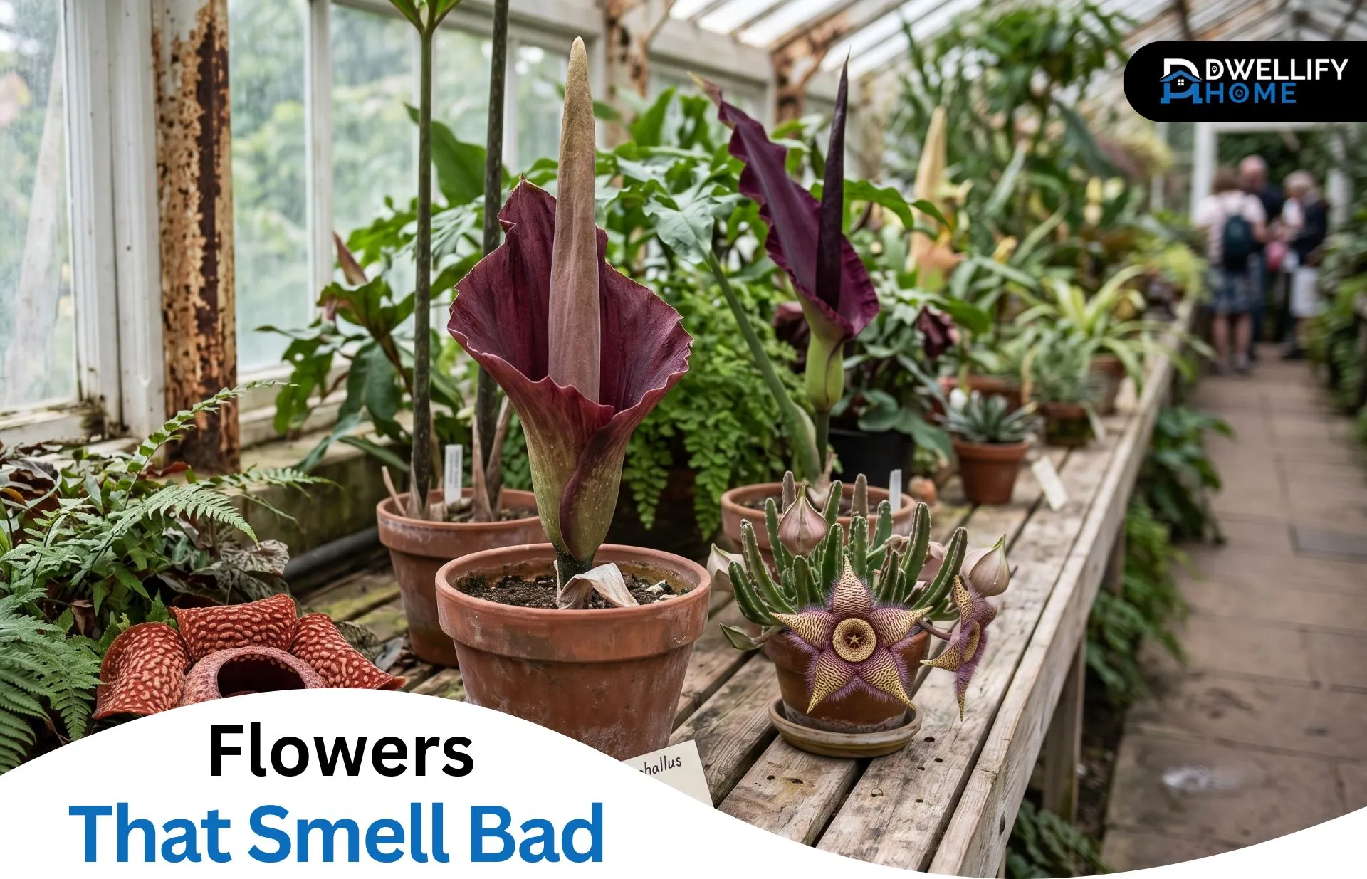 flowers that smell bad