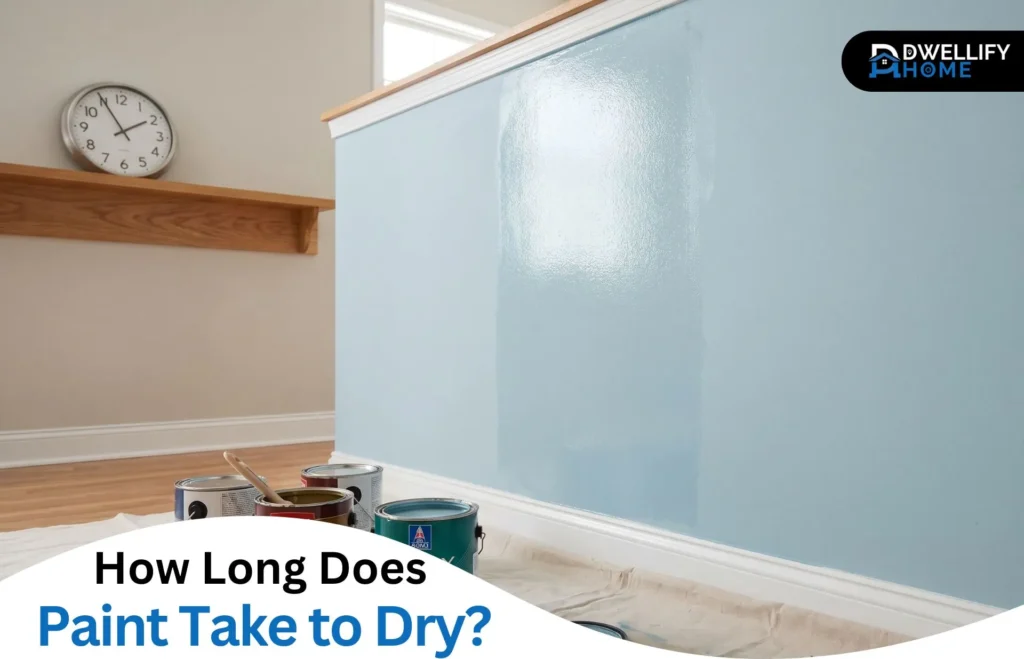 How Long Does Paint Take to Dry