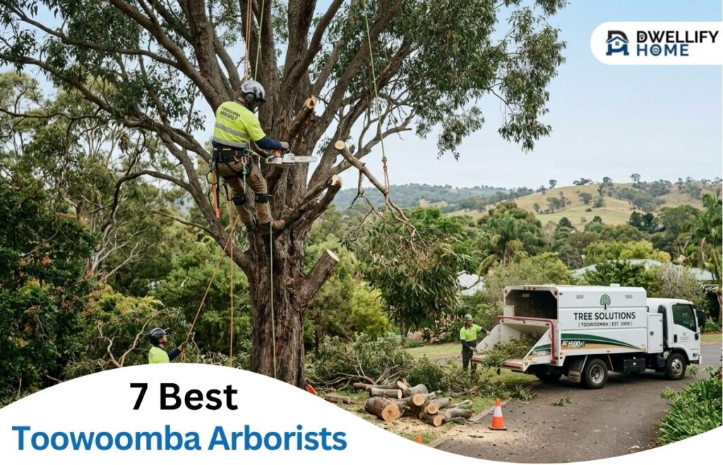 7 Best Toowoomba Arborists for Tree Lopping and Tree Removal