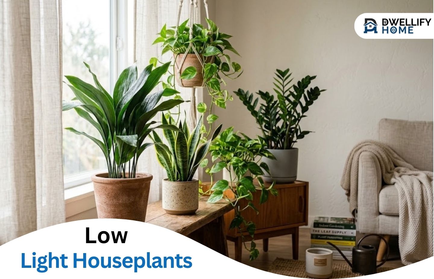 8 Low Light Houseplants and How to Choose the Right One