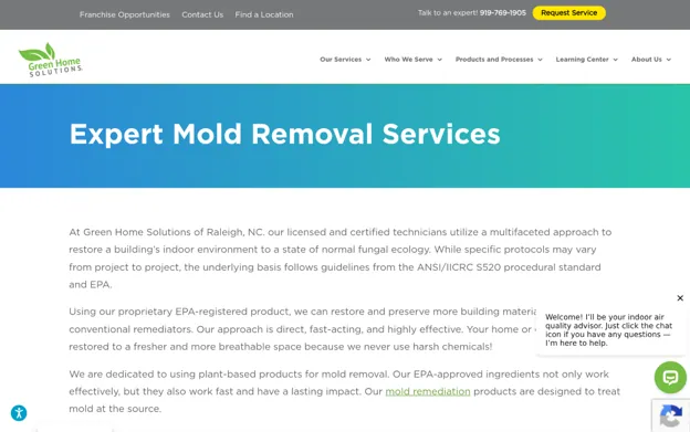 Top Raleigh Companies for Residential Mold Remediation