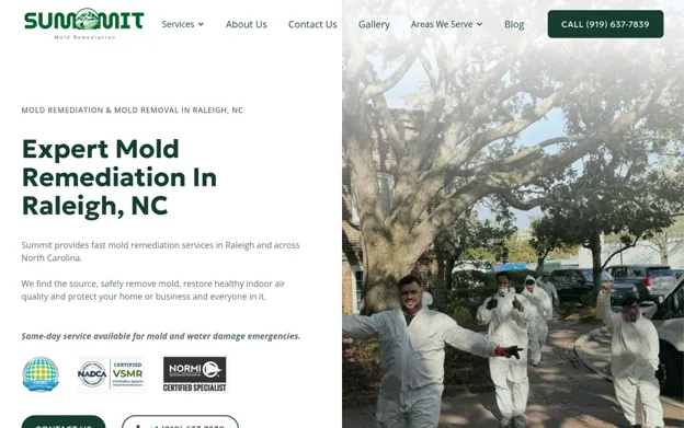 Summit Mold Remediation