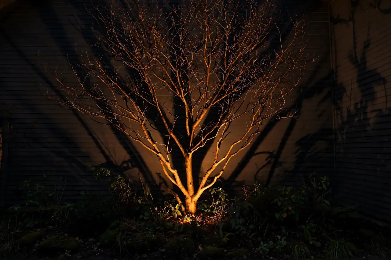 Bare tree at night lit from below by a hidden uplight, casting long upward shadows of branches across dark house siding in warm amber.